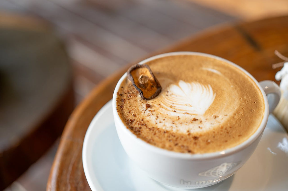 Best Milk Frothing Pitchers in Germany in 2026