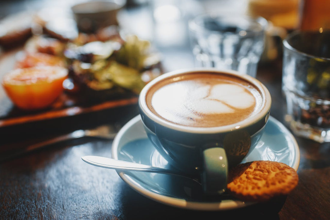 Best Multi-Use Frother in 2026