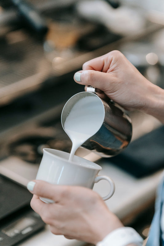 Best Coffee Milk Frother In 2026