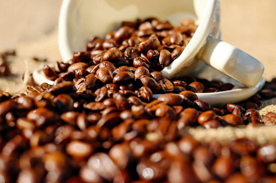 Best Milk Frother for Coffee in 2025 - Subminimal