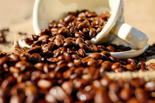 Best Milk Frother for Coffee in 2025 - Subminimal
