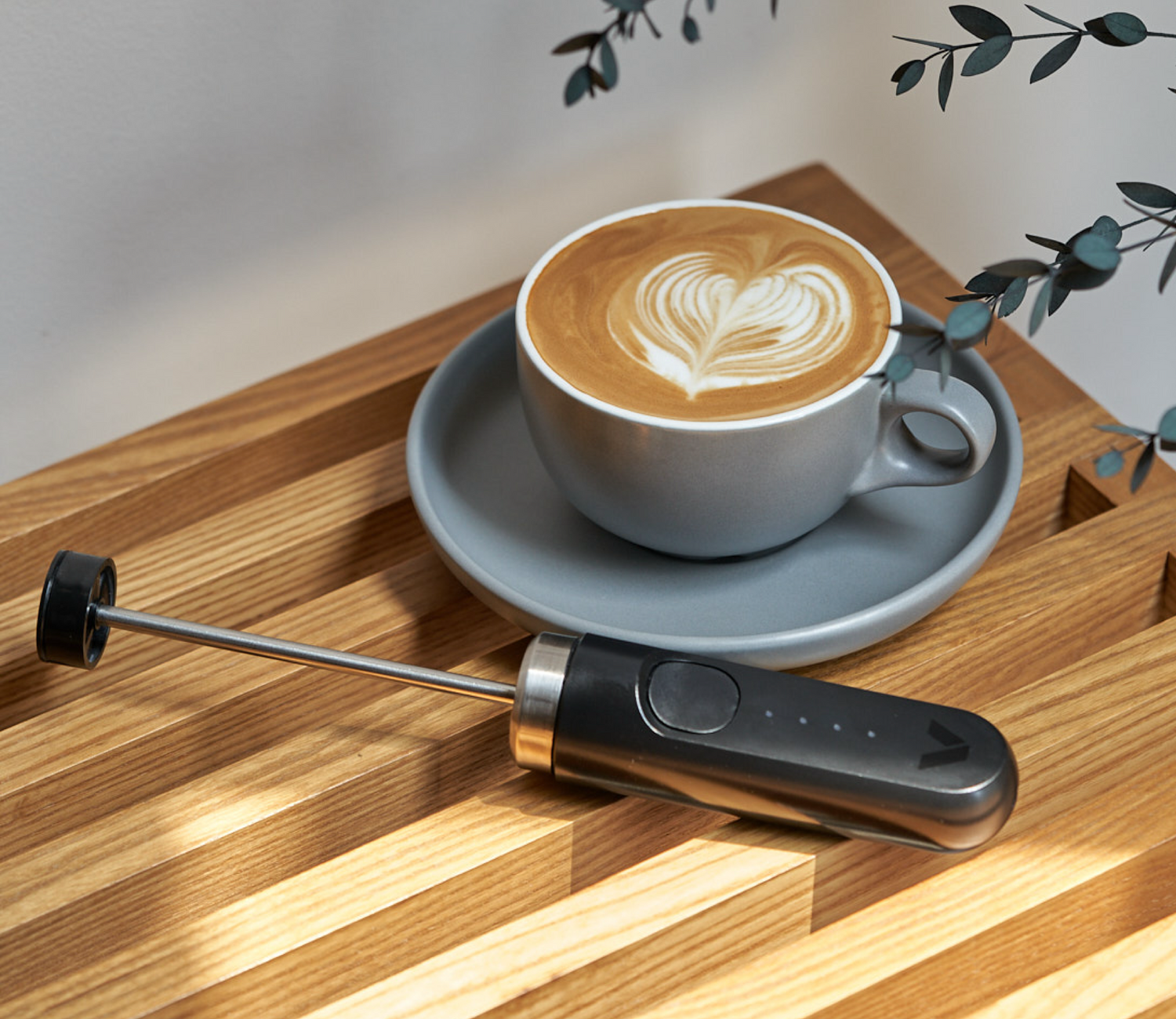 Milk Frother and Steamer