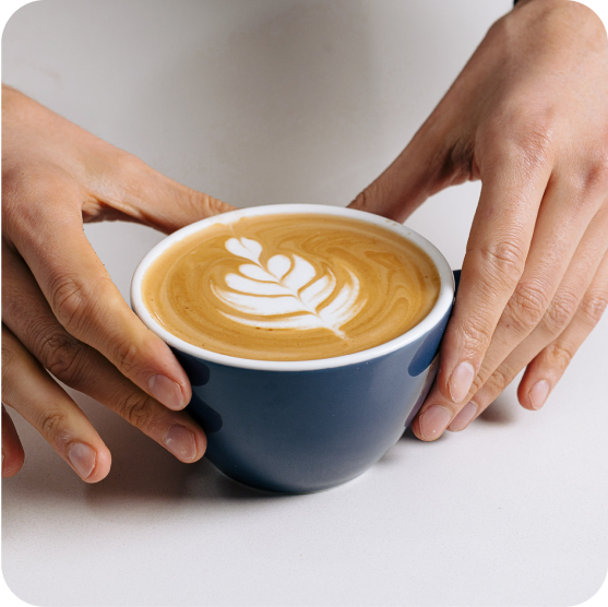 Subminimal NanoFoamer, Handheld Milk Foamer SALE Coffee Accessories Shop -  BuyMoreCoffee.com